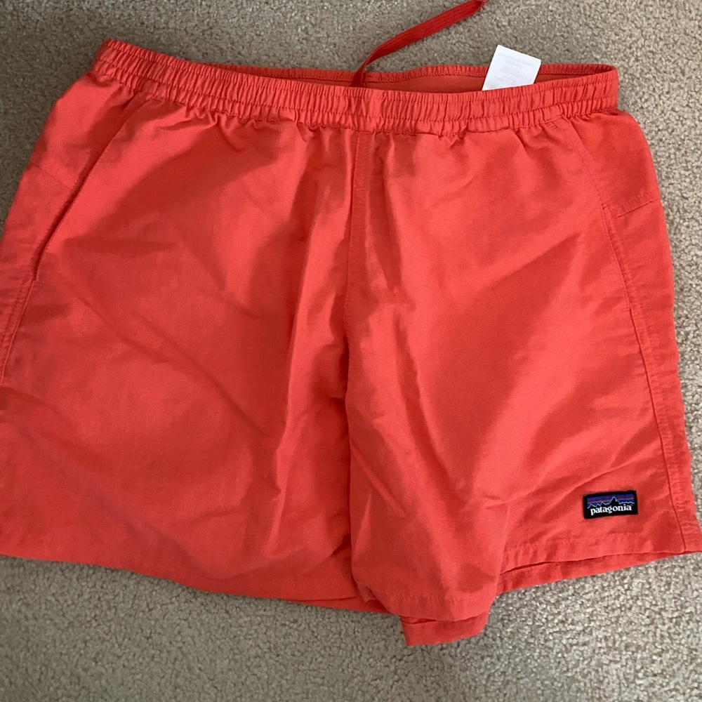 Patagonia Baggie Shorts